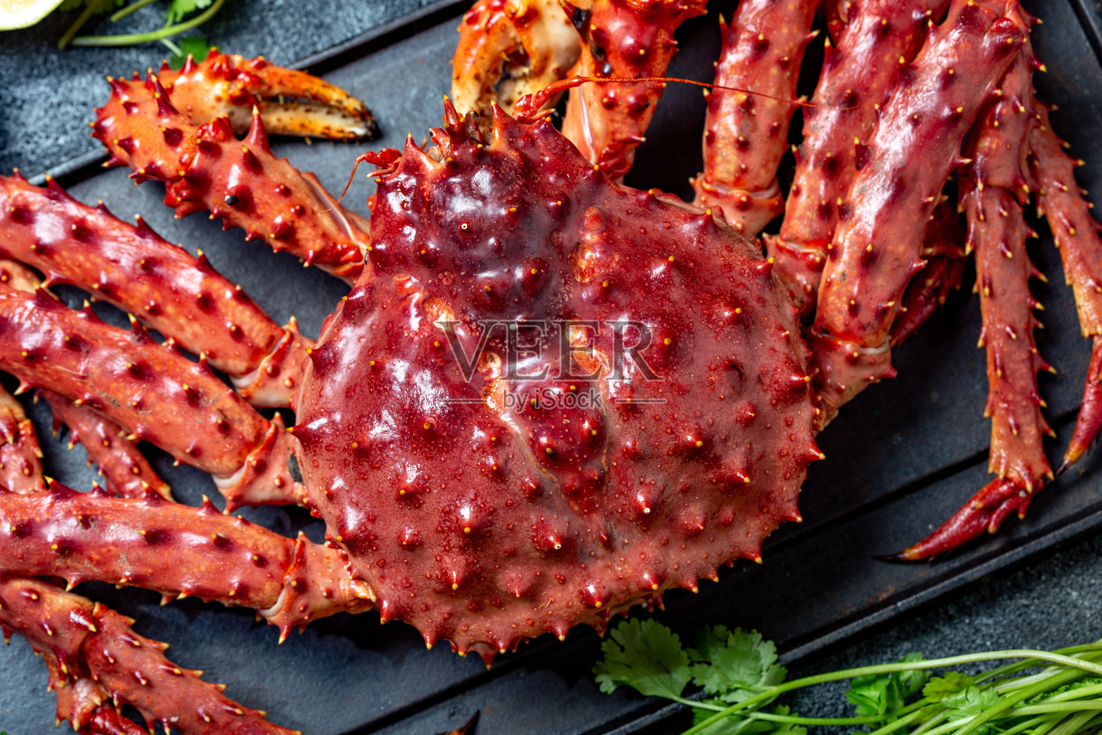灰色背景上的红色帝王蟹。帝王蟹，柠檬和香菜，俯视图照片摄影图片