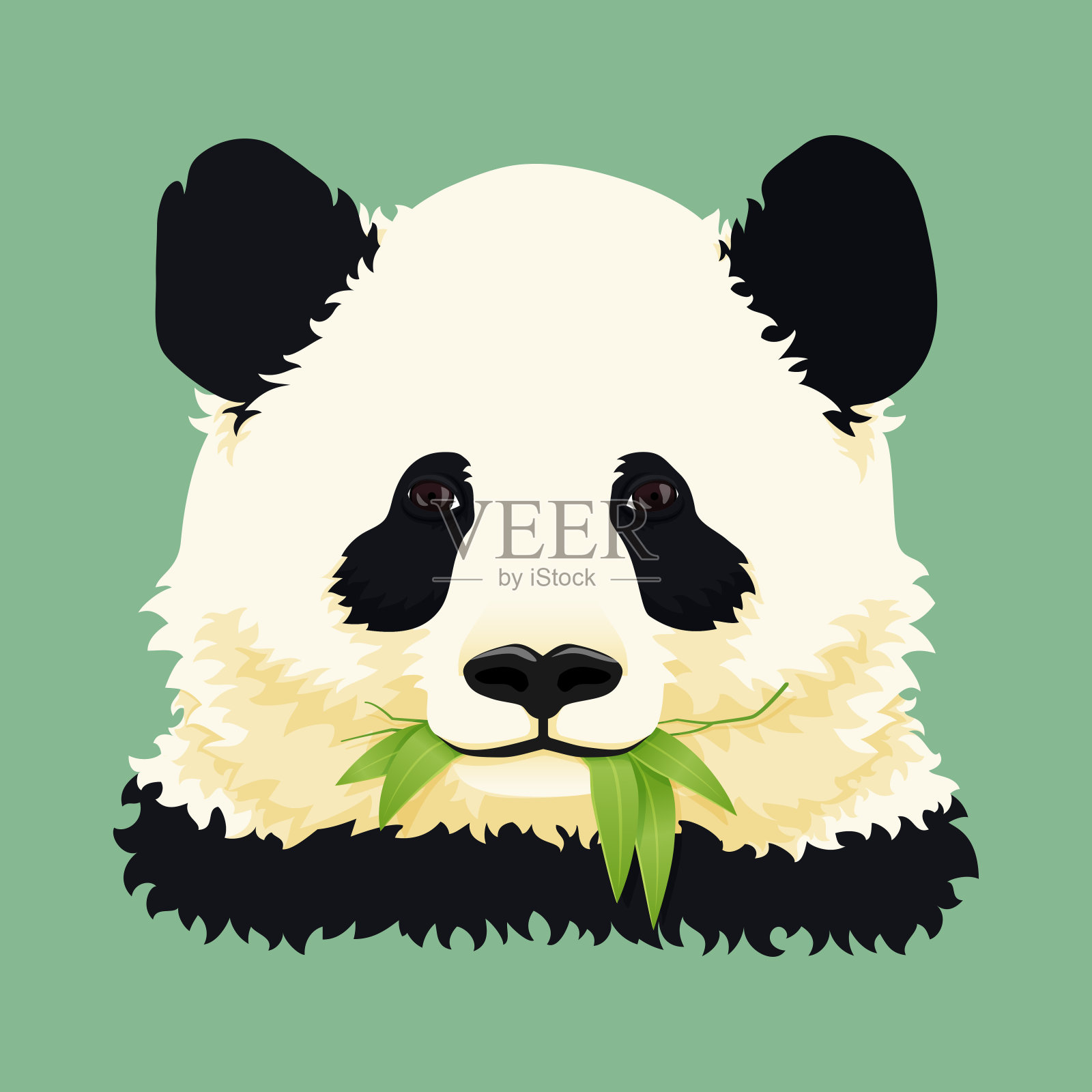 卡通肖像。可爱的大熊猫嚼着绿色的竹叶。向量。插画图片素材