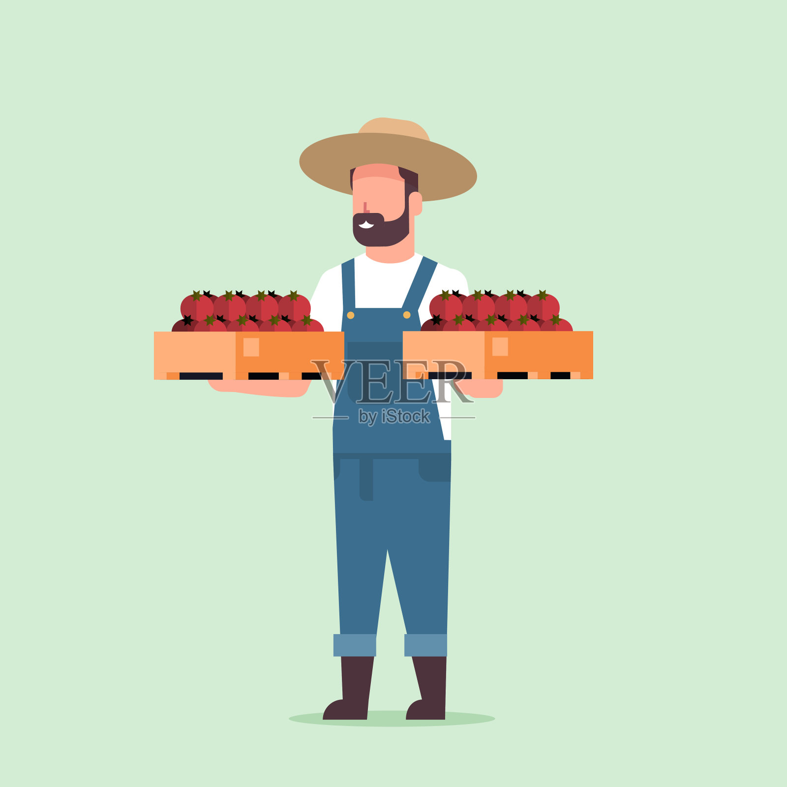 男性农民抱着红熟西红柿的箱子，男性收获蔬菜，农业工人生态农业概念平坦完整插画图片素材