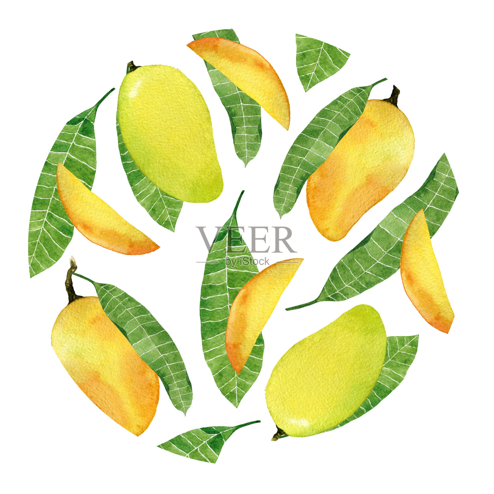 水彩黄色芒果果实徽章孤立在白色的背景。插画图片素材