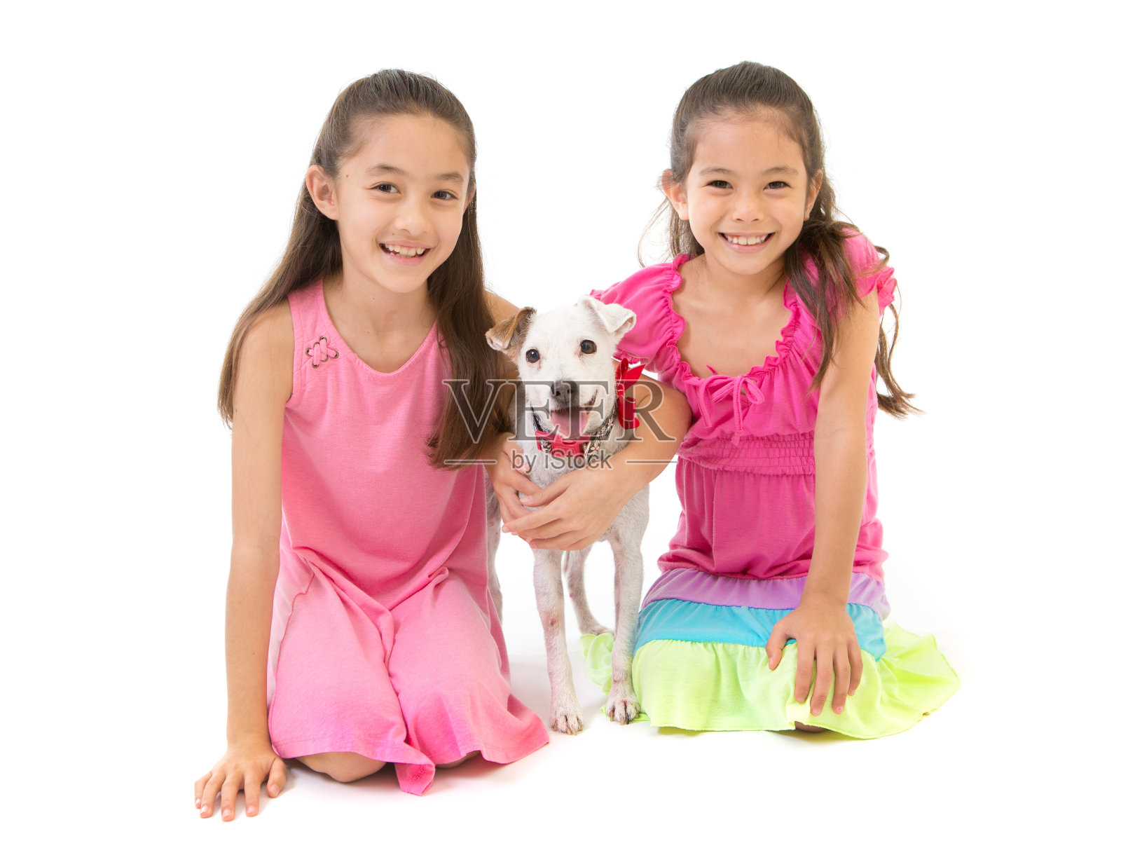 夏威夷家庭肖像与两个十几岁的少女和宠物狗在白色的背景照片摄影图片