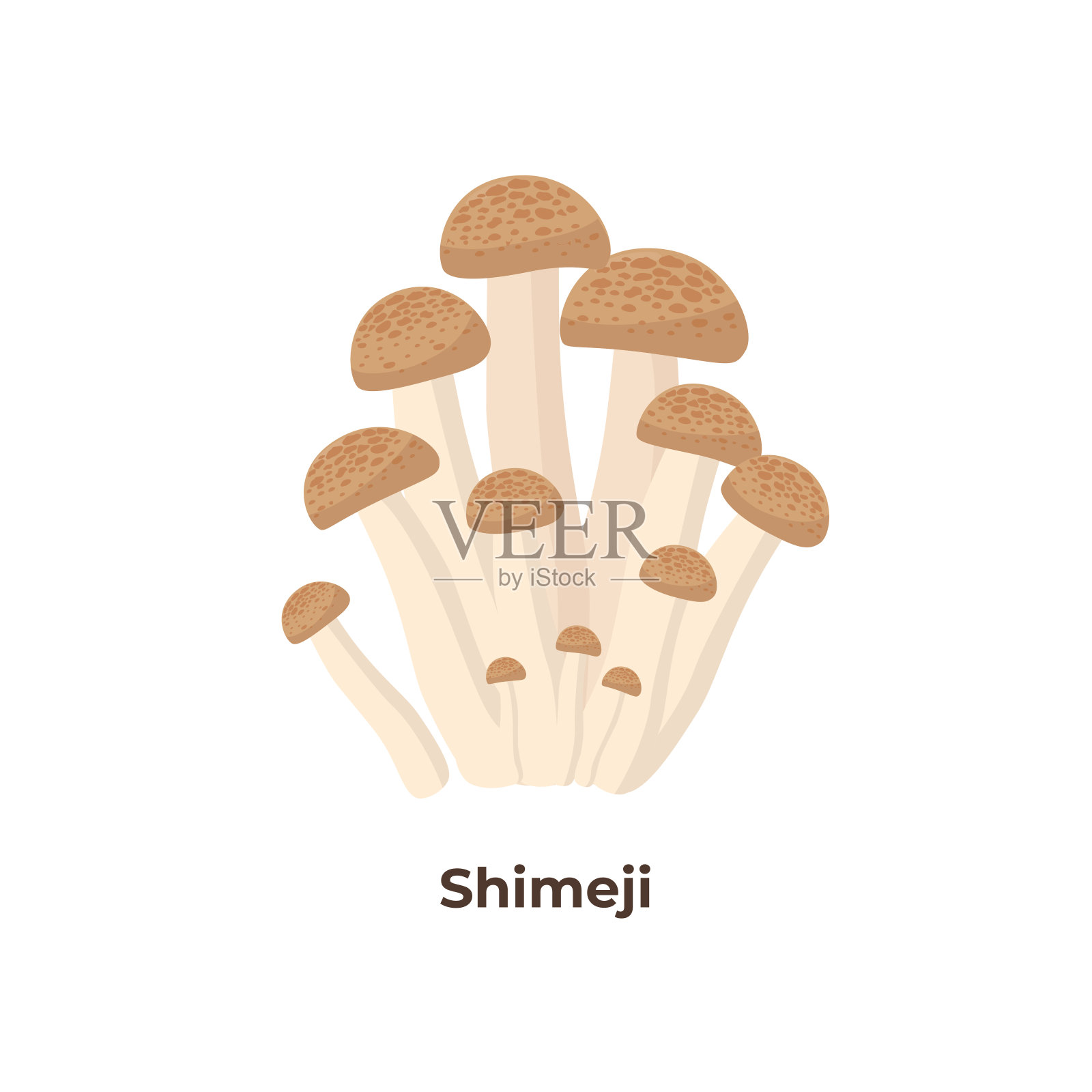 Shimeji蘑菇孤立在白色背景，矢量插图在平面设计。设计元素图片