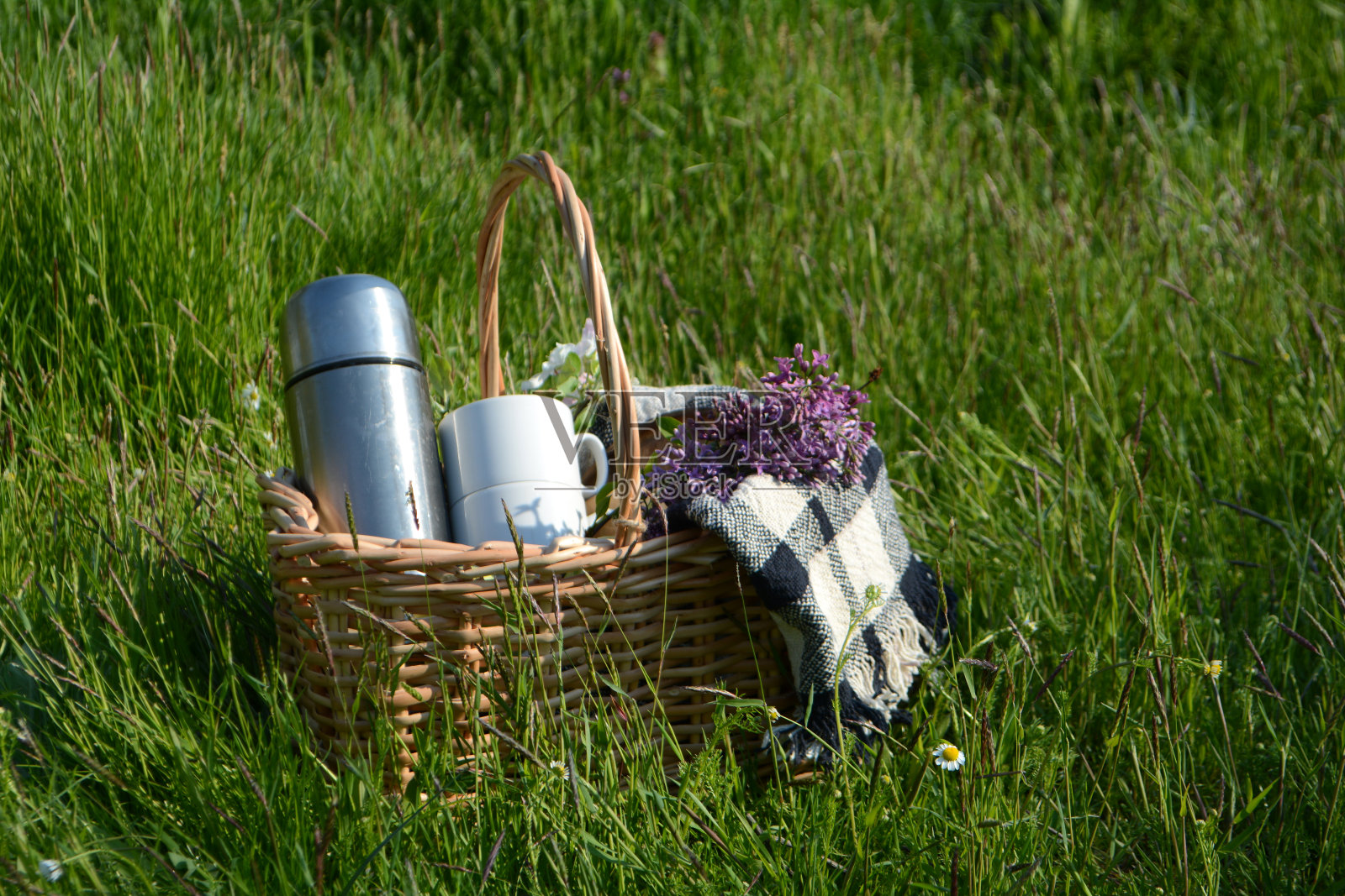 野餐在公园的绿色草地上。野餐篮和毯子。暑假照片摄影图片