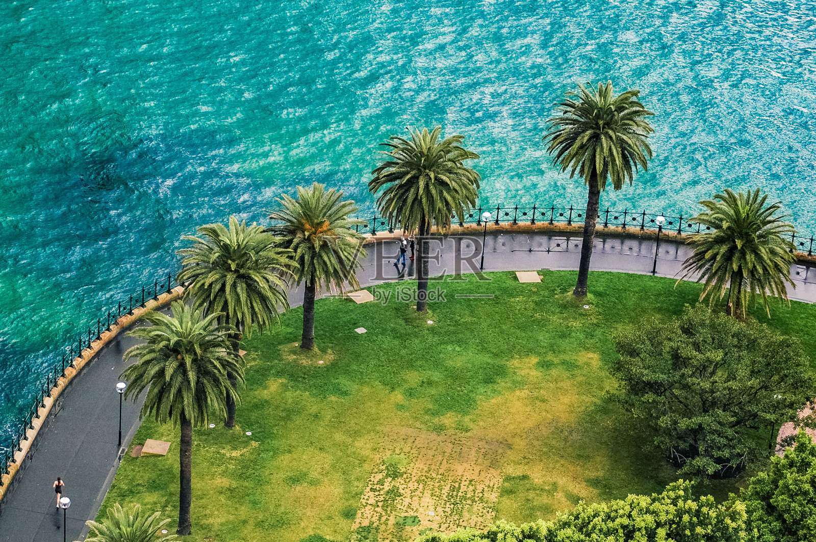 在悉尼，新南威尔士州的海滨，中央海岸的景色和棕榈树，散步和跑步的人在雨天照片摄影图片