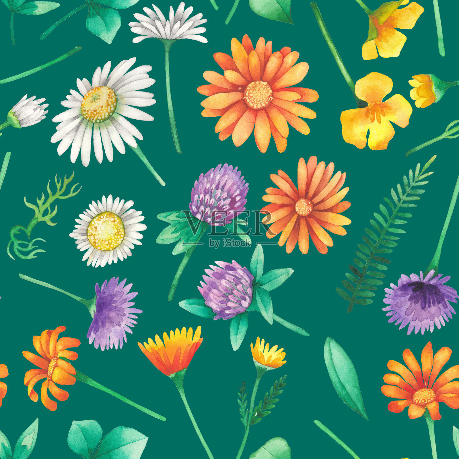 水彩无缝模式的野生草甸花插画图片素材