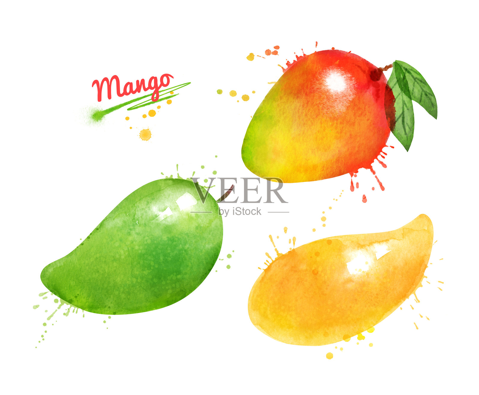 水彩画整套芒果水果插画图片素材