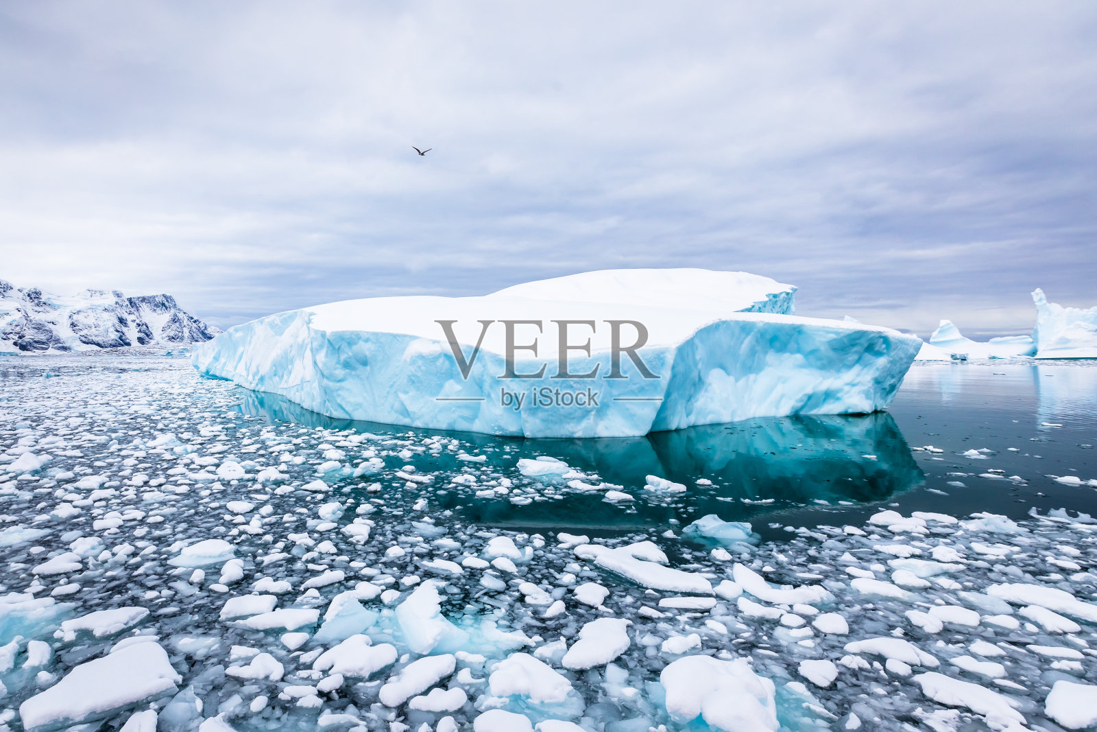 冰山上覆盖着蓝色的冰和冰雪，是南极半岛风景优美的冰冻景观照片摄影图片