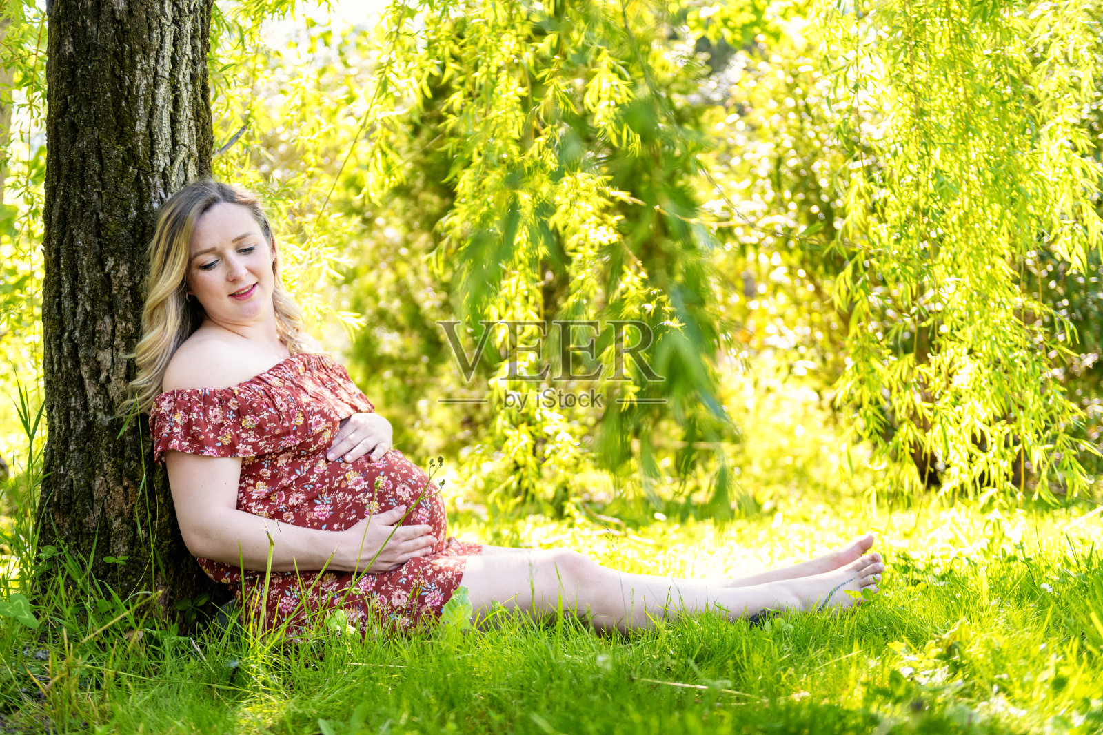 孕妇在树下休息照片摄影图片