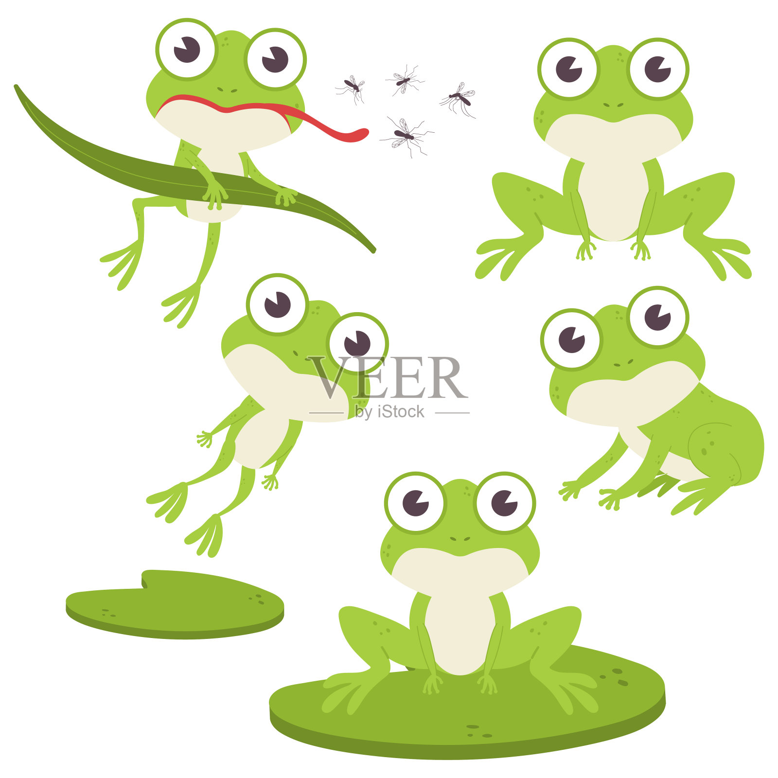 可爱的青蛙矢量卡通人物设置孤立在白色的背景。插画图片素材