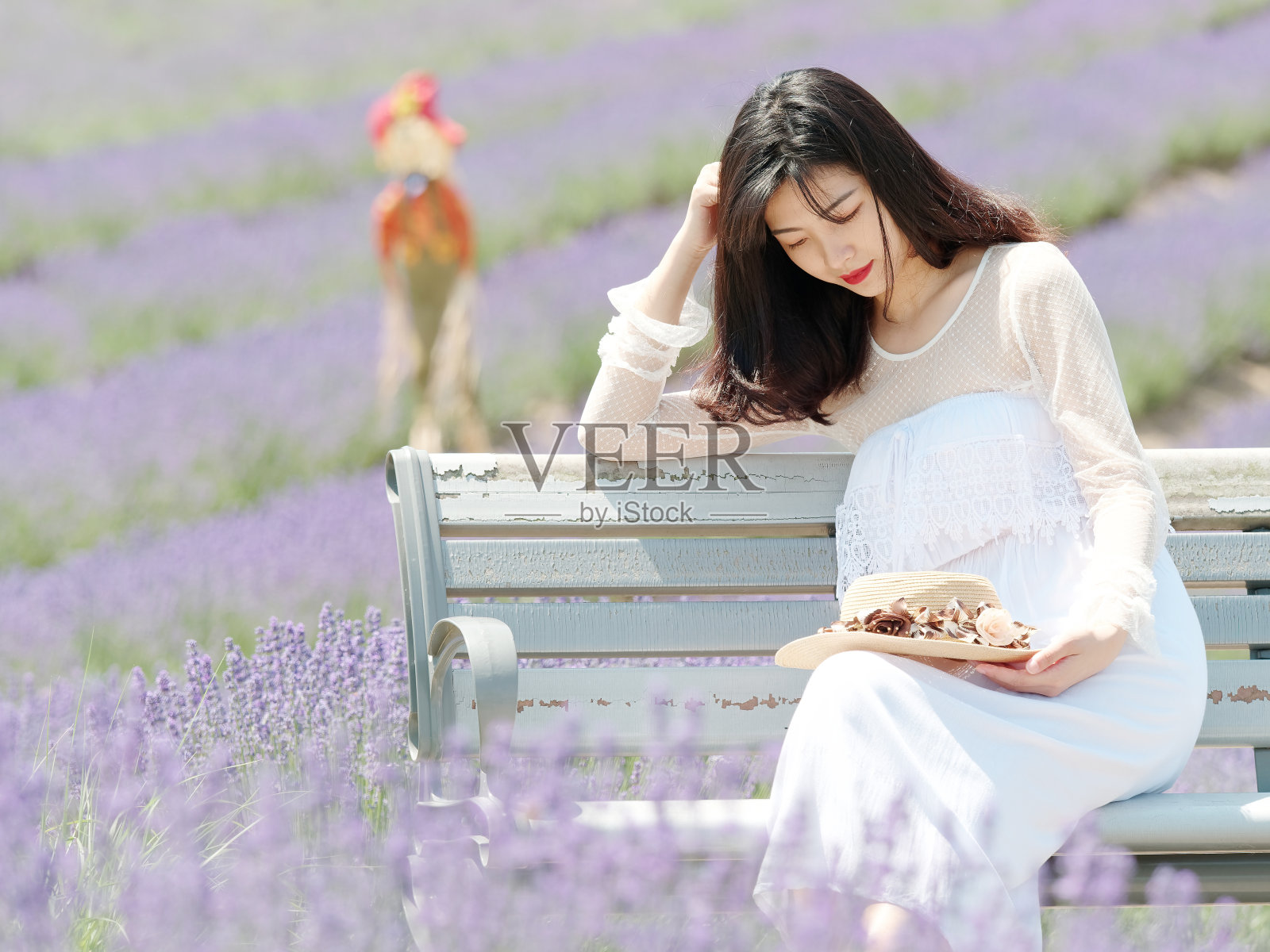 美丽的中国年轻女孩的肖像，穿着白色的婚纱坐在紫色的薰衣草花的白色长凳上，她的草帽在膝盖上，微笑在她的爱的记忆。照片摄影图片