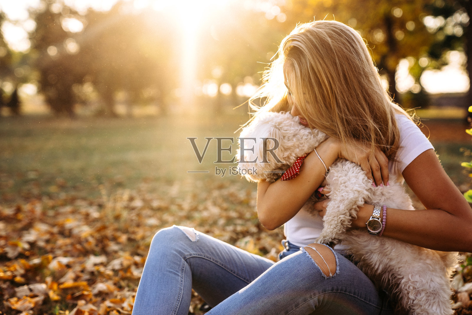女人和她的狗马耳他照片摄影图片