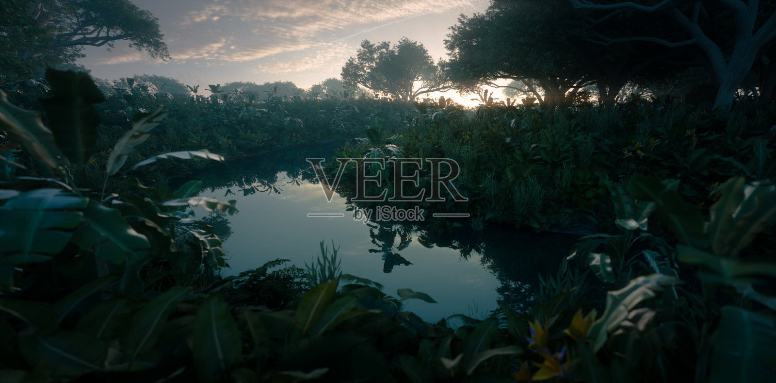 美丽的日落在丛林天堂。茂密的雨林植被和平静的河流。3 d渲染。照片摄影图片
