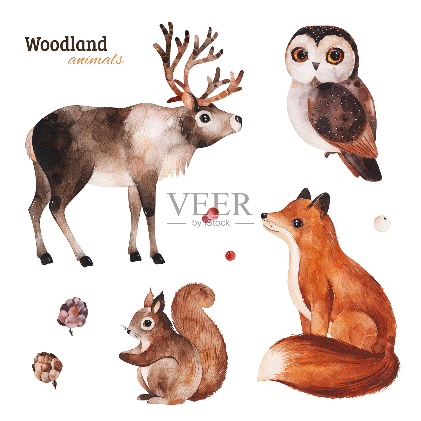 林地设置可爱的驯鹿，狐狸，猫头鹰和松鼠插画图片素材