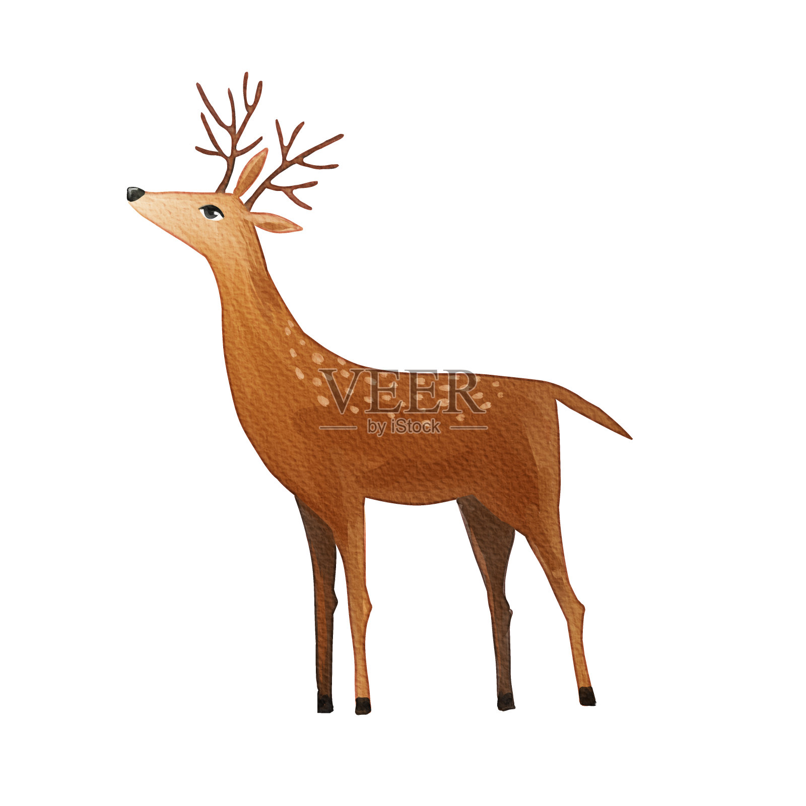 水彩鹿孤立的白色背景插画图片素材