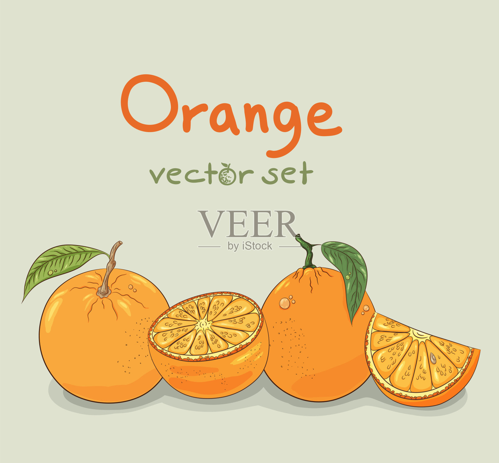 橙色的设置。夏季热带多汁水果。向量插画图片素材