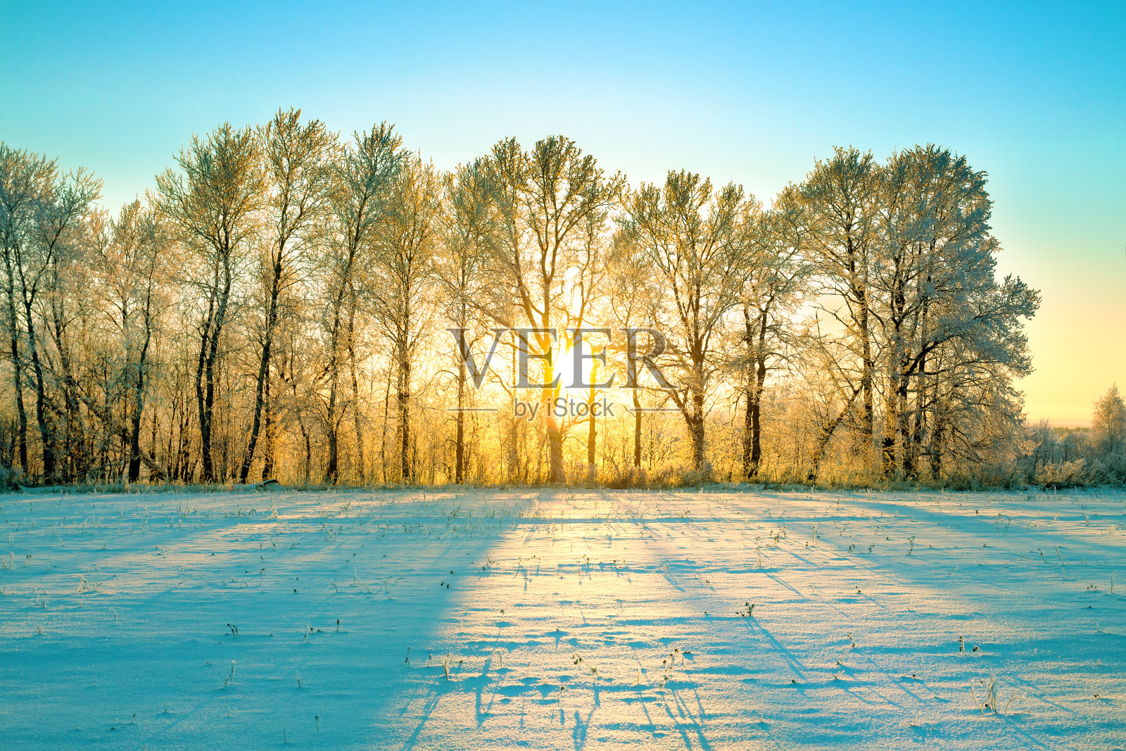 阳光明媚的冬季景观与日出照片摄影图片