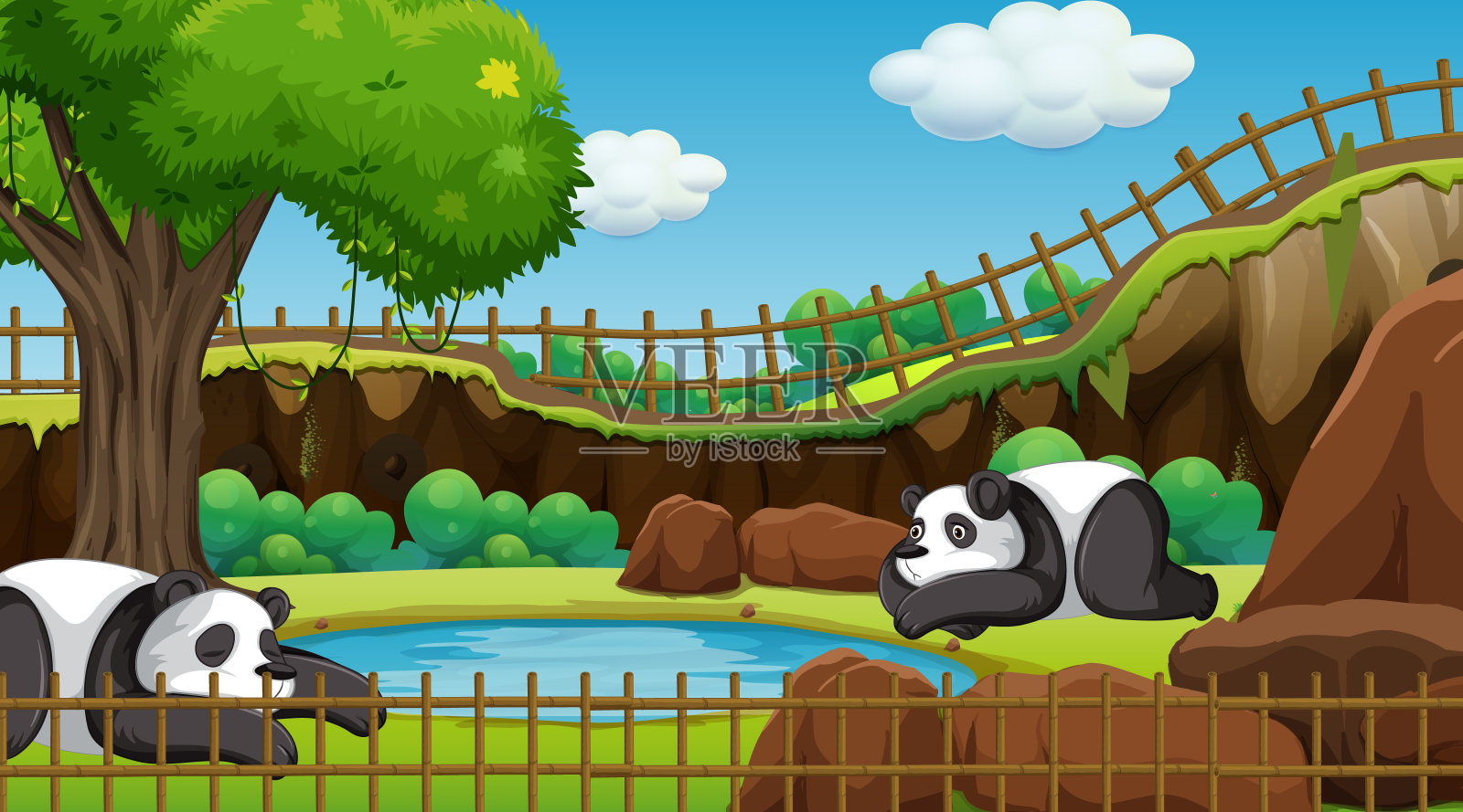 动物园里两只熊猫的场景插画图片素材