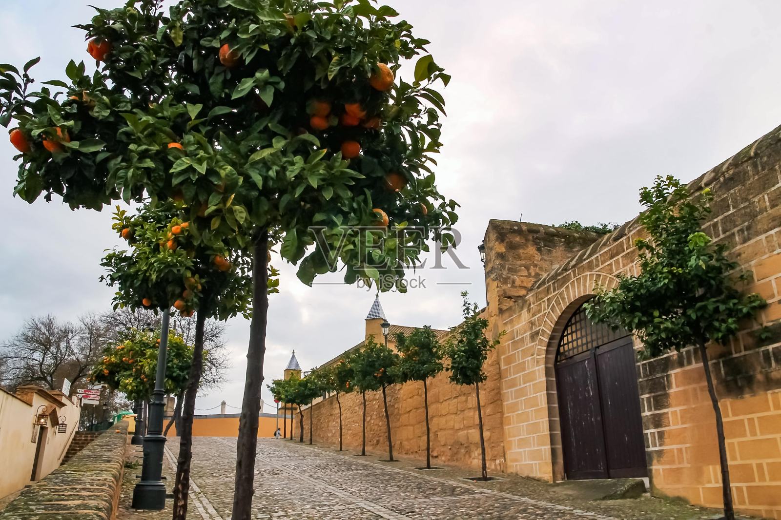 石头铺就的路面，古老的墙壁和桔子树。西班牙安达卢西亚照片摄影图片
