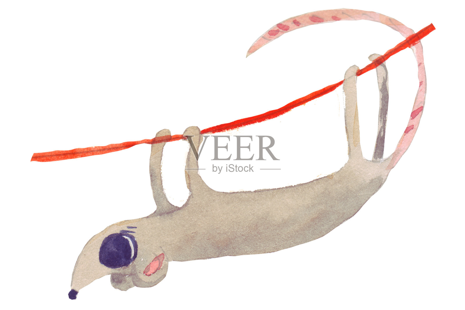 一只可爱的大眼睛灰色老鼠(老鼠)是2020的象征，游泳后在绳子上晾干。插画图片素材