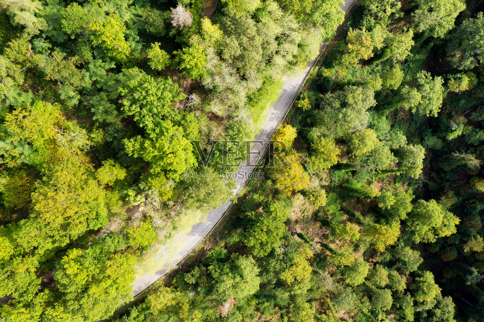 鸟瞰图的乡村道路在森林，基安蒂地区，托斯卡纳，意大利照片摄影图片
