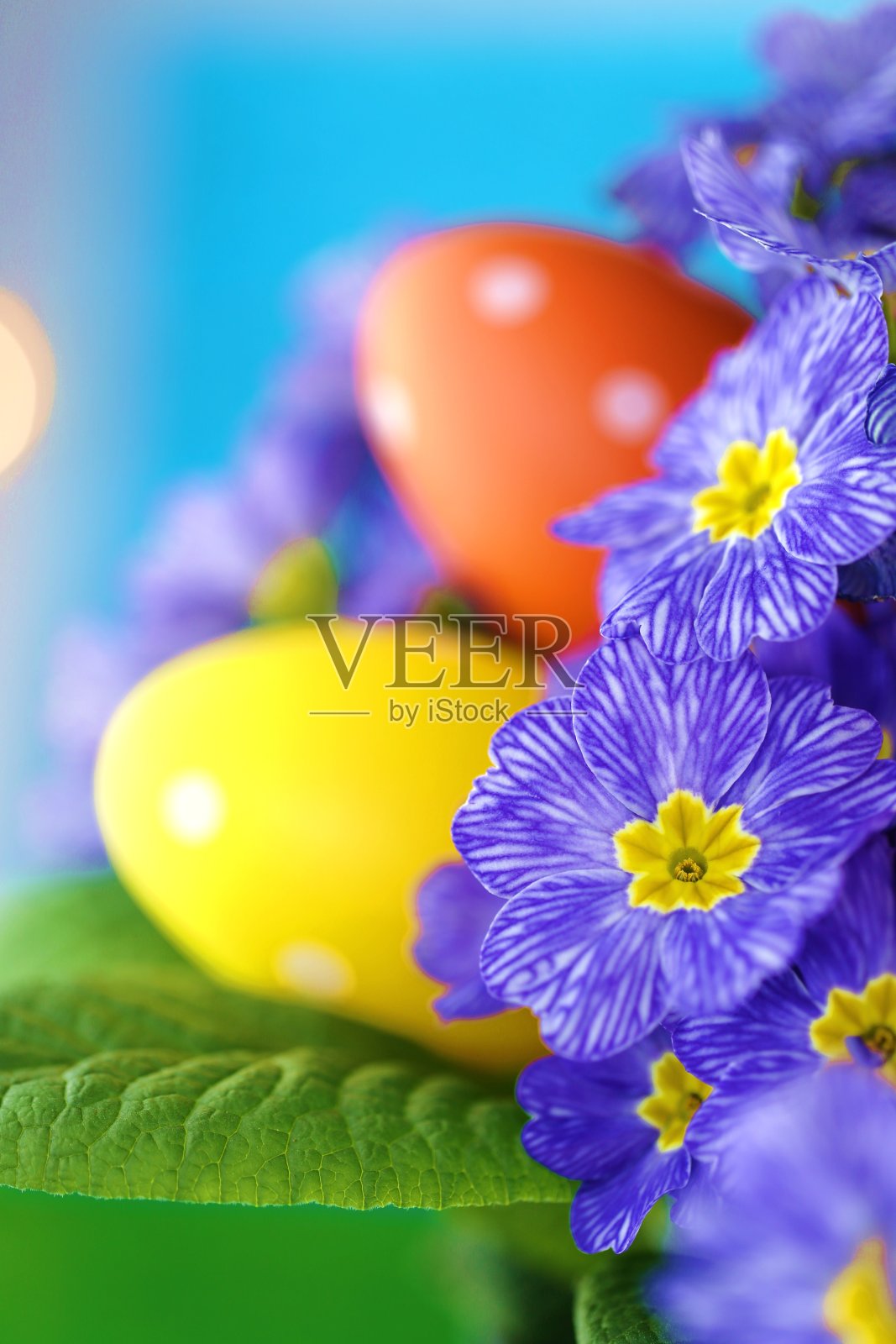 复活节的概念。五颜六色的鸡蛋在樱草蓝的花上，在明亮的蓝色背景和金色的散竹。节日复活节春天明亮的背景。春天的宗教节日照片摄影图片