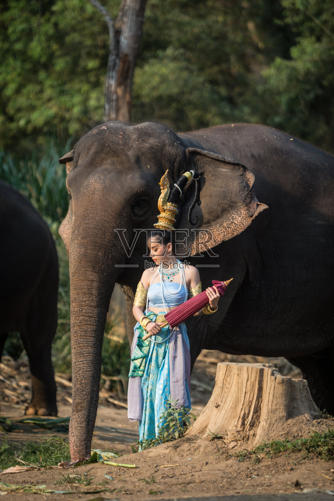 泰国女孩穿着传统服装和大象照片摄影图片