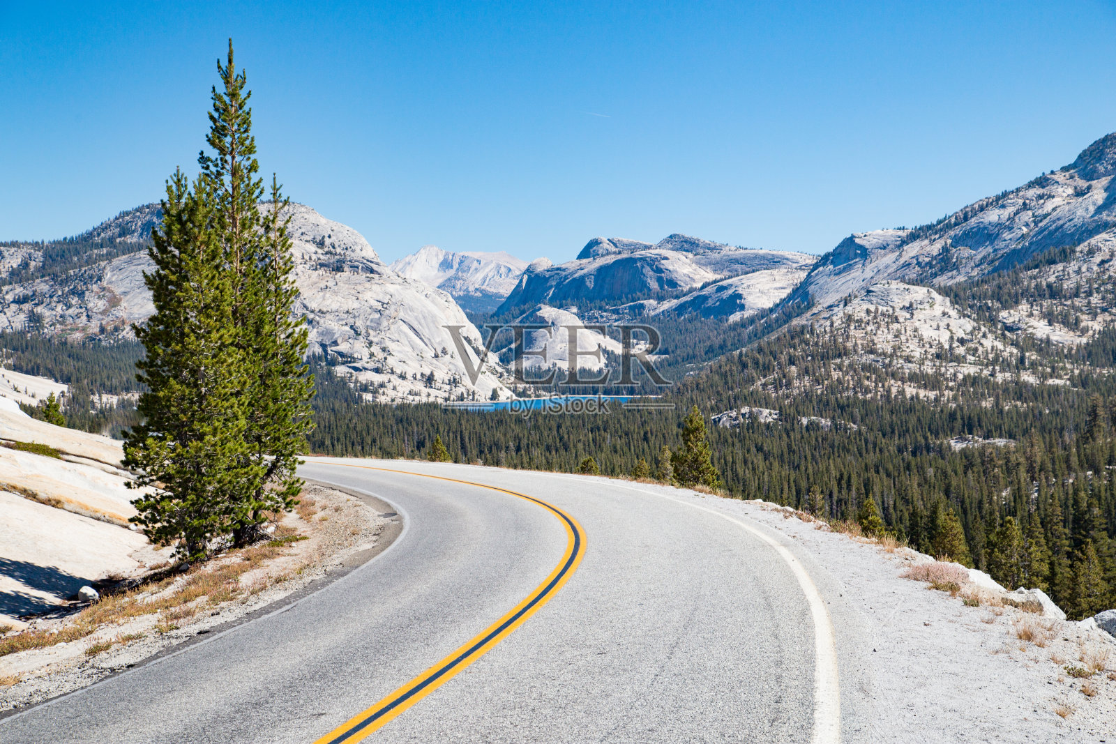 美国加利福尼亚州约塞米蒂国家公园的空旷道路照片摄影图片