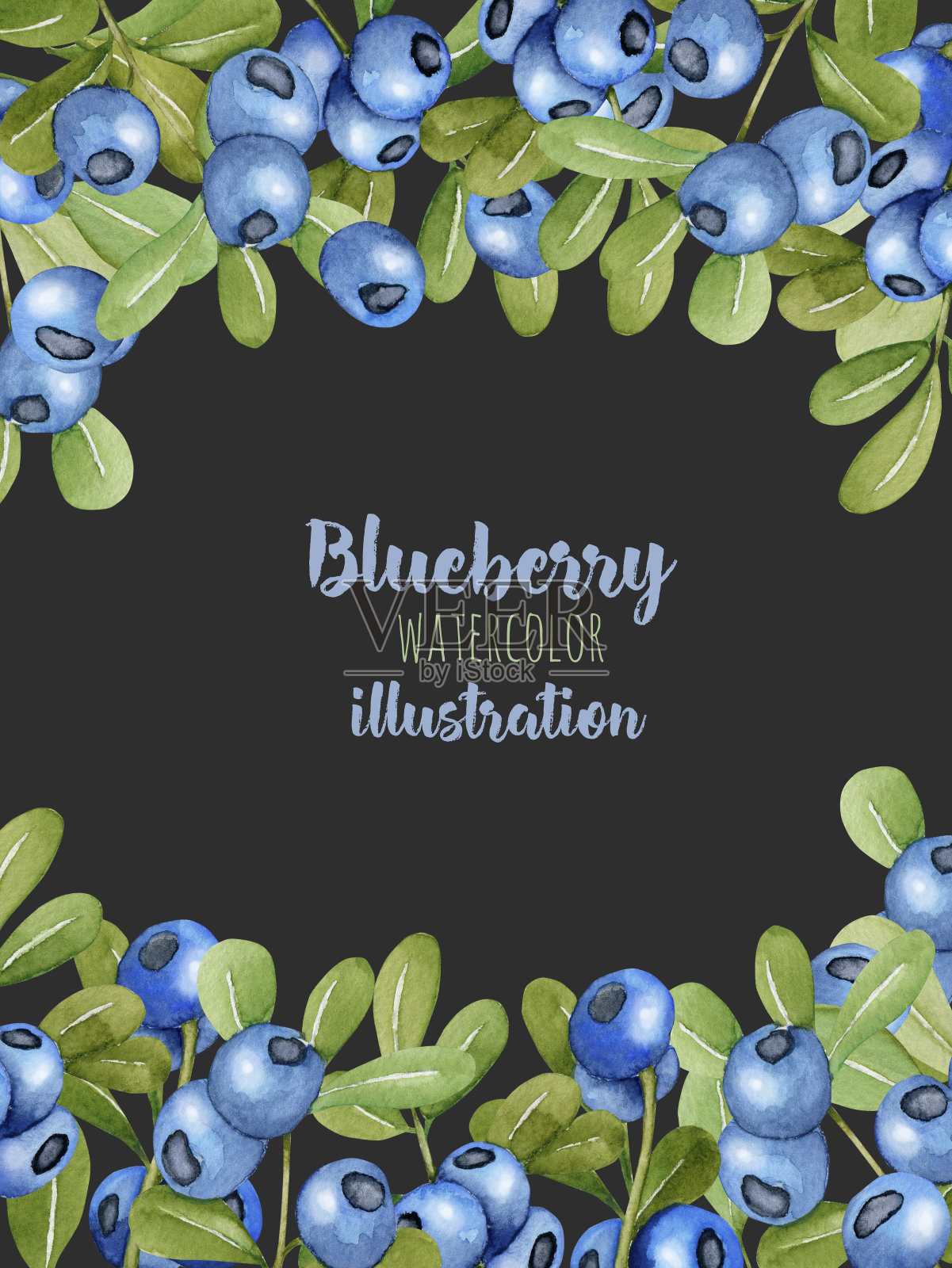 卡片模板与水彩蓝莓树枝，框架边界背景，手绘在一个黑暗的背景插画图片素材