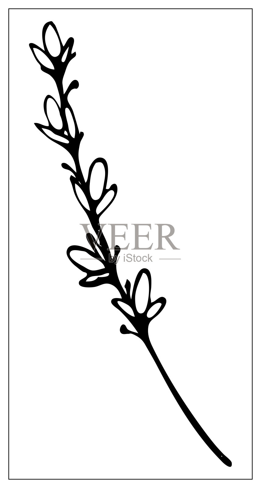 一片草叶的黑白剪影。在白色背景上单独绘制的草药。轮廓元素的设计在花卉风格。向量股票插图设计元素图片
