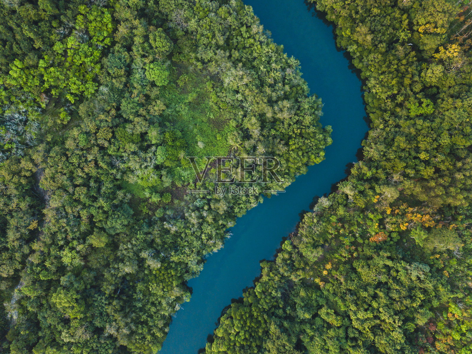 丛林森林空中景观，从上面看蜿蜒的河流照片摄影图片