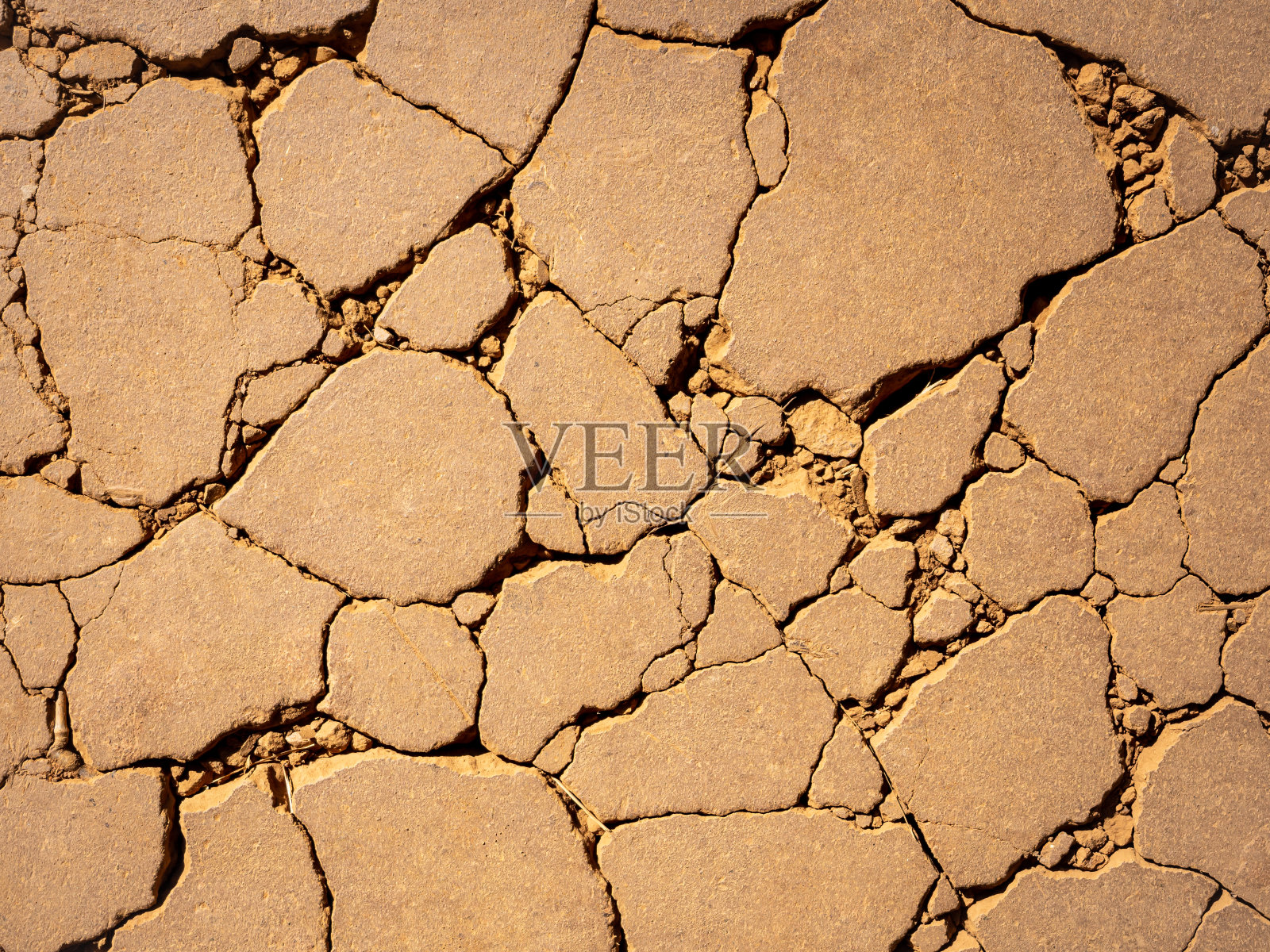 干裂土是干旱土壤环境照片摄影图片