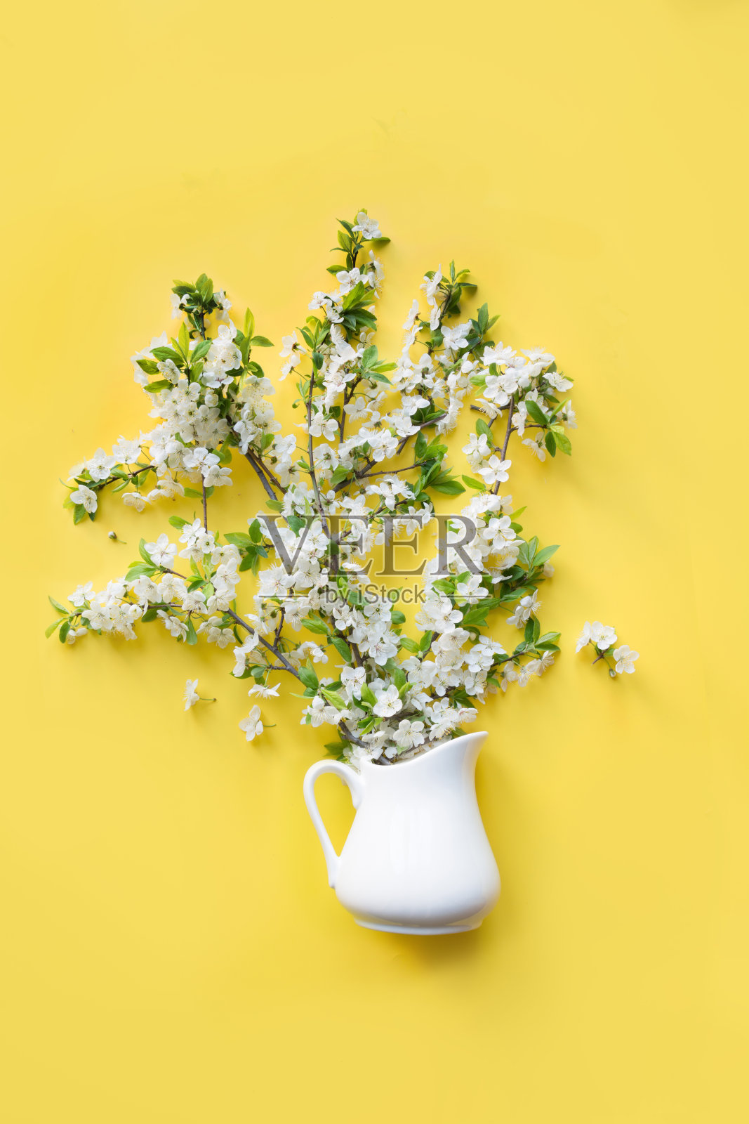 花束白色盛开的樱桃果树在花瓶上黄色。前视图。平的。照片摄影图片