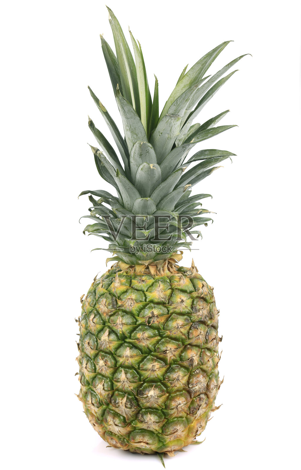 菠萝，一种成熟，新鲜的水果食品，整个，孤立在白色的背景照片摄影图片