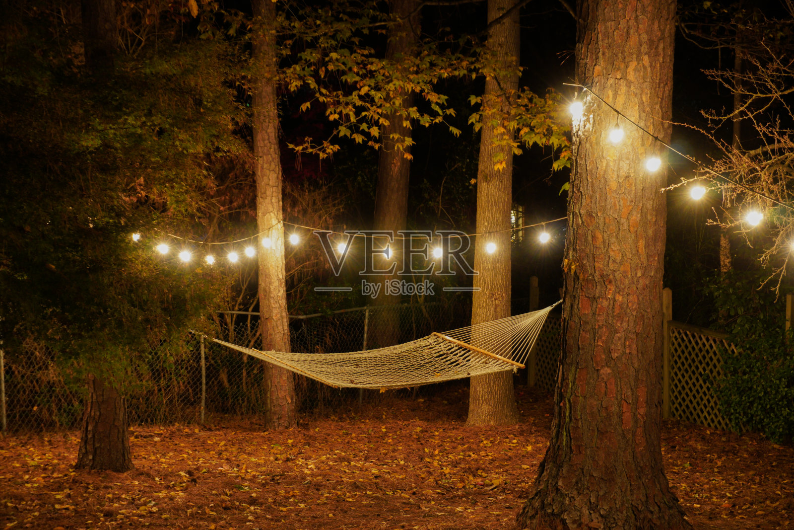 后院的两棵树之间挂着一张吊床，上面挂着咖啡灯;浪漫的夜间设置;景观的观点照片摄影图片