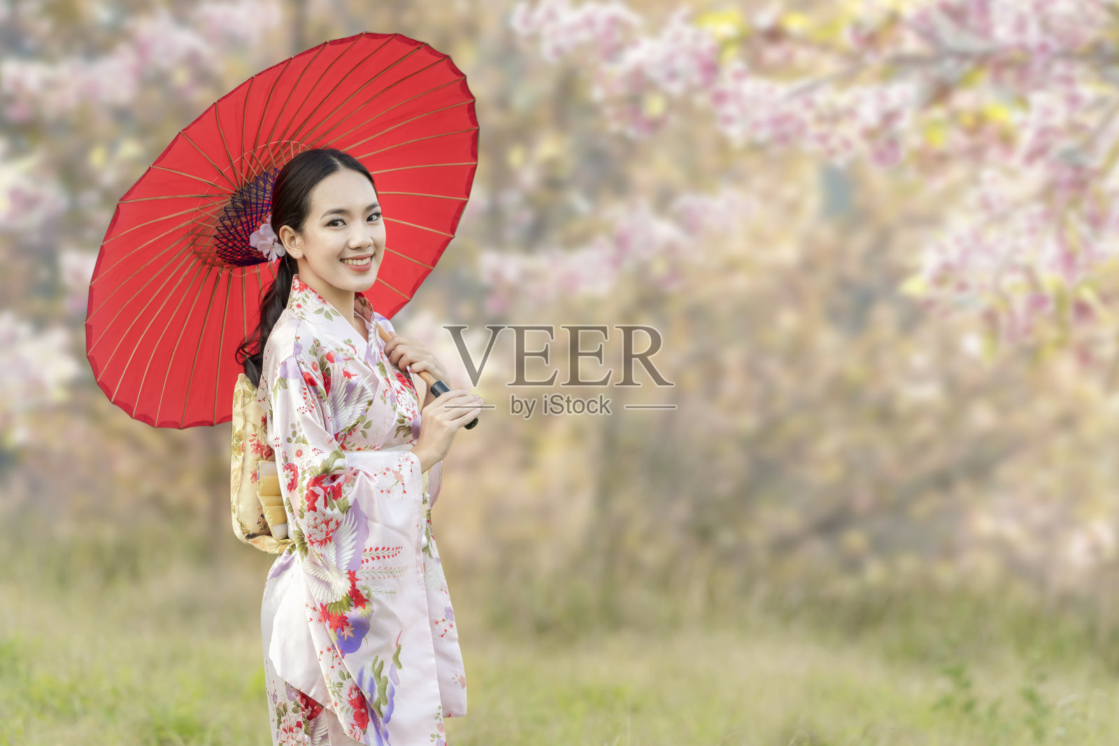 一个日本女孩穿着和服，拿着一把红色的伞。美丽的女性穿着传统的日本和服与樱花在春天，日本。亚洲女性游客。照片摄影图片