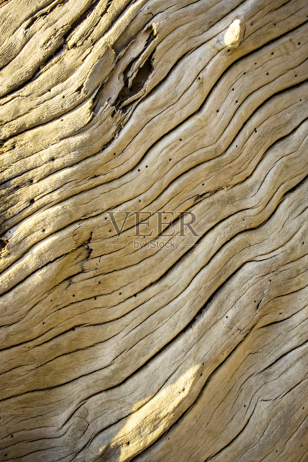 天然木材的细节。自然模式的背景。照片摄影图片