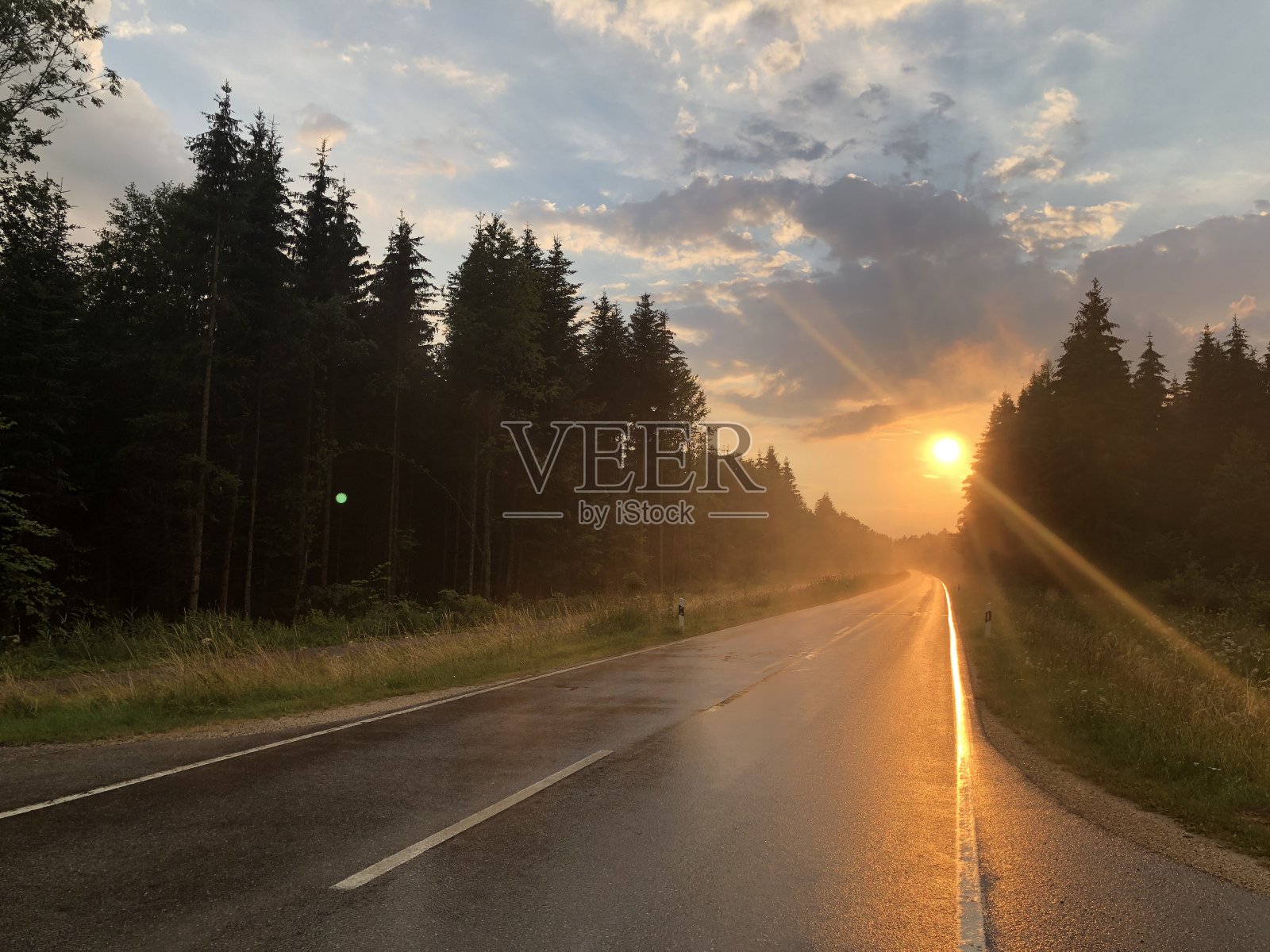 路上——德国黑森林的雨天照片摄影图片