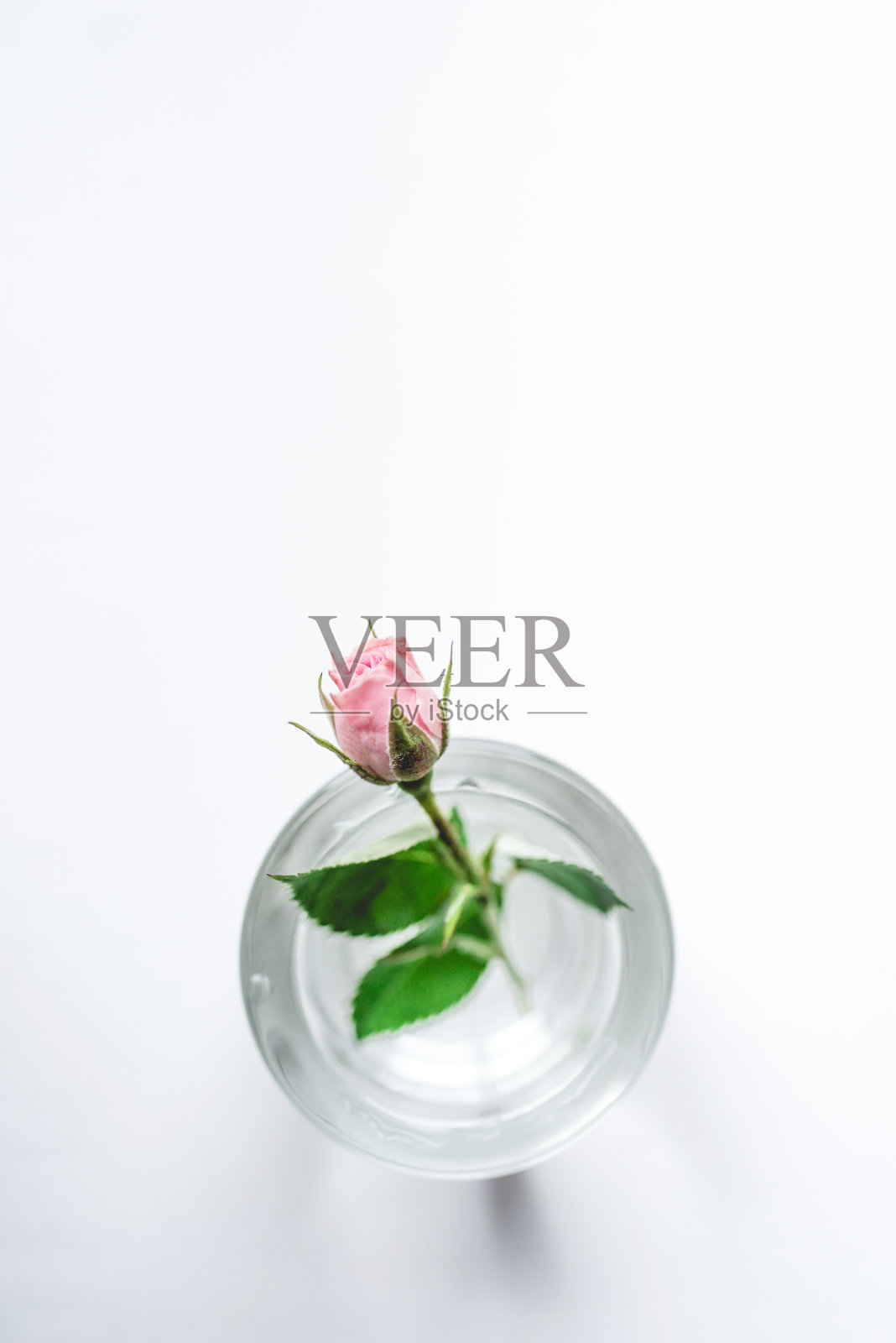 白色木桌上玻璃花瓶里的白色玫瑰小花。照片摄影图片