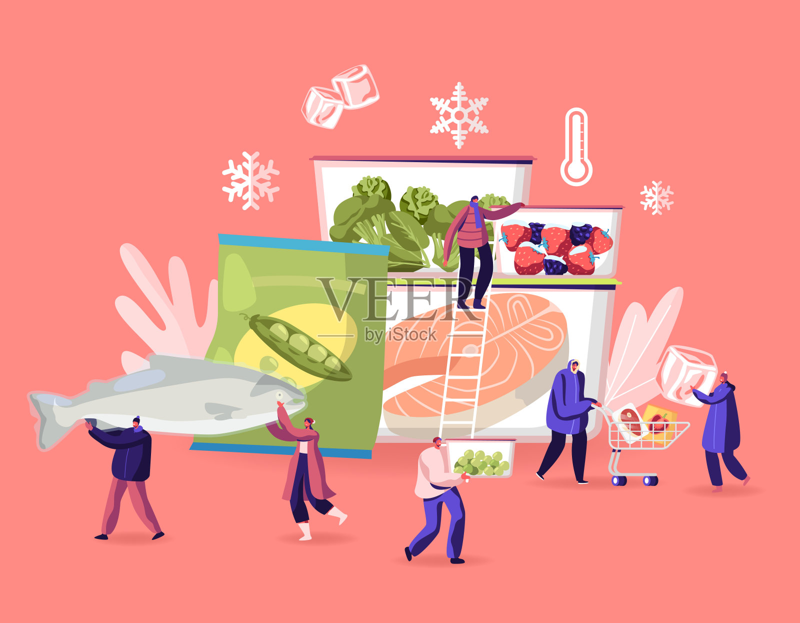 冷冻食品的概念。小男性和女性角色购买和烹饪天然冰制品新鲜蔬菜，水果，肉和鱼。健康饮食，保护卡通平面矢量插图插画图片素材