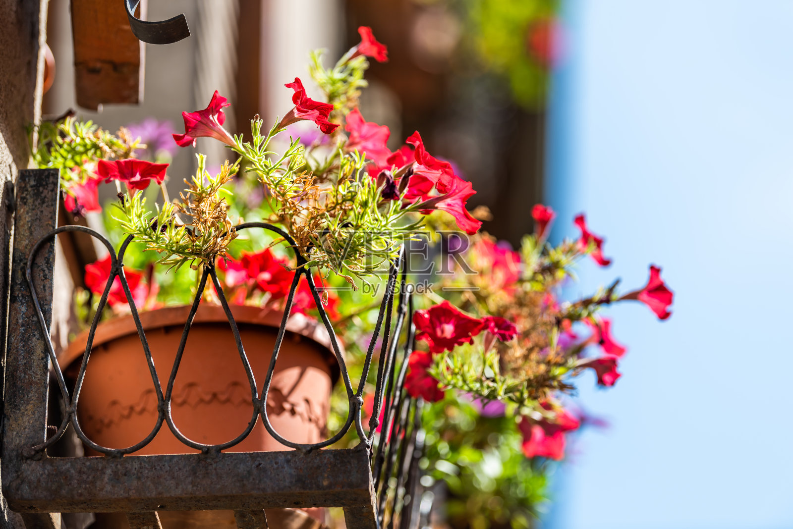 奥维多，意大利小镇城市翁布里亚的绿色红色花园植物盆花装饰在阳光明媚的夏天在阳台建筑上照片摄影图片