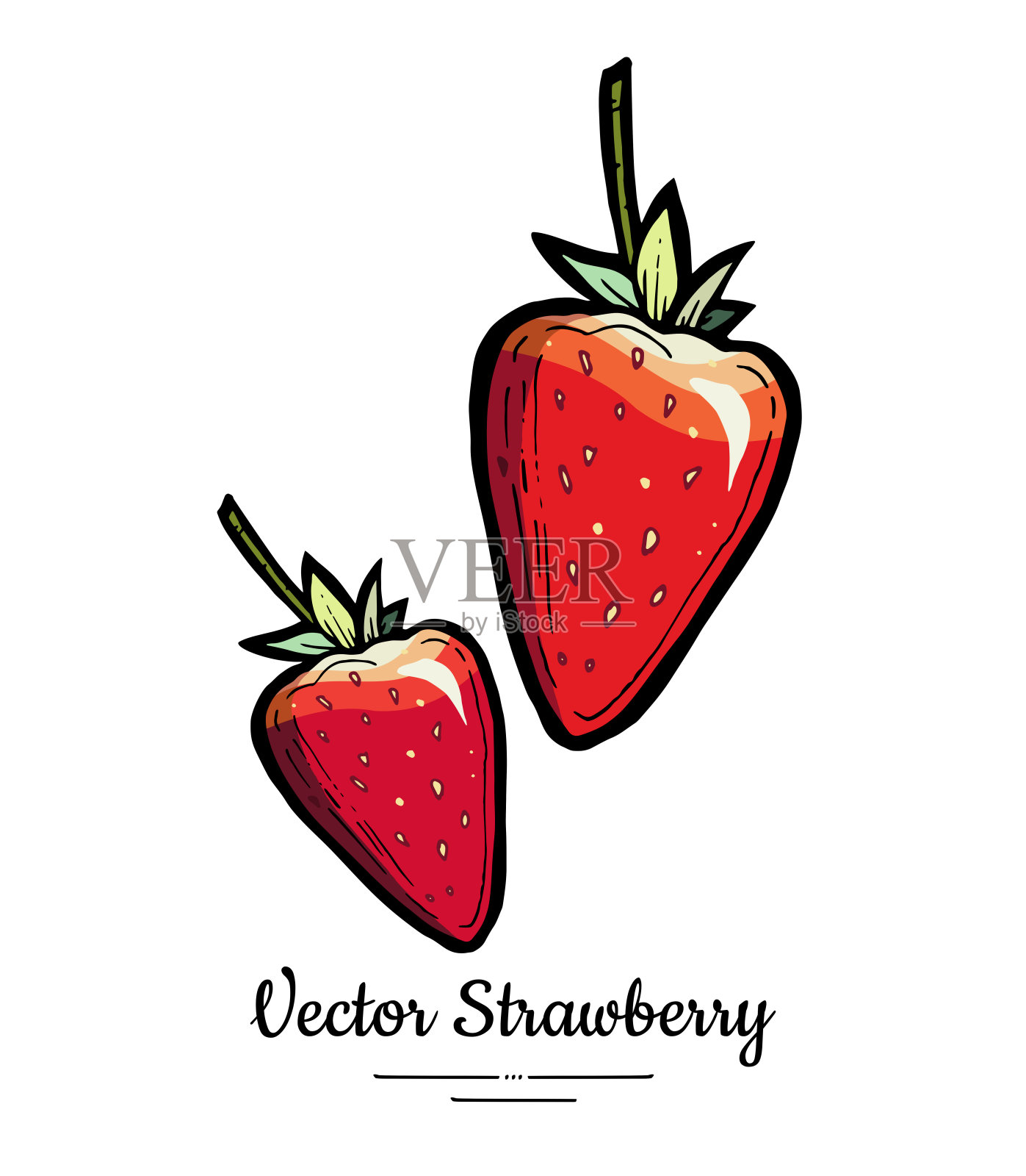 草莓向量孤立。红莓手绘插图。时尚食品素食菜单水果图标全草莓插画图片素材