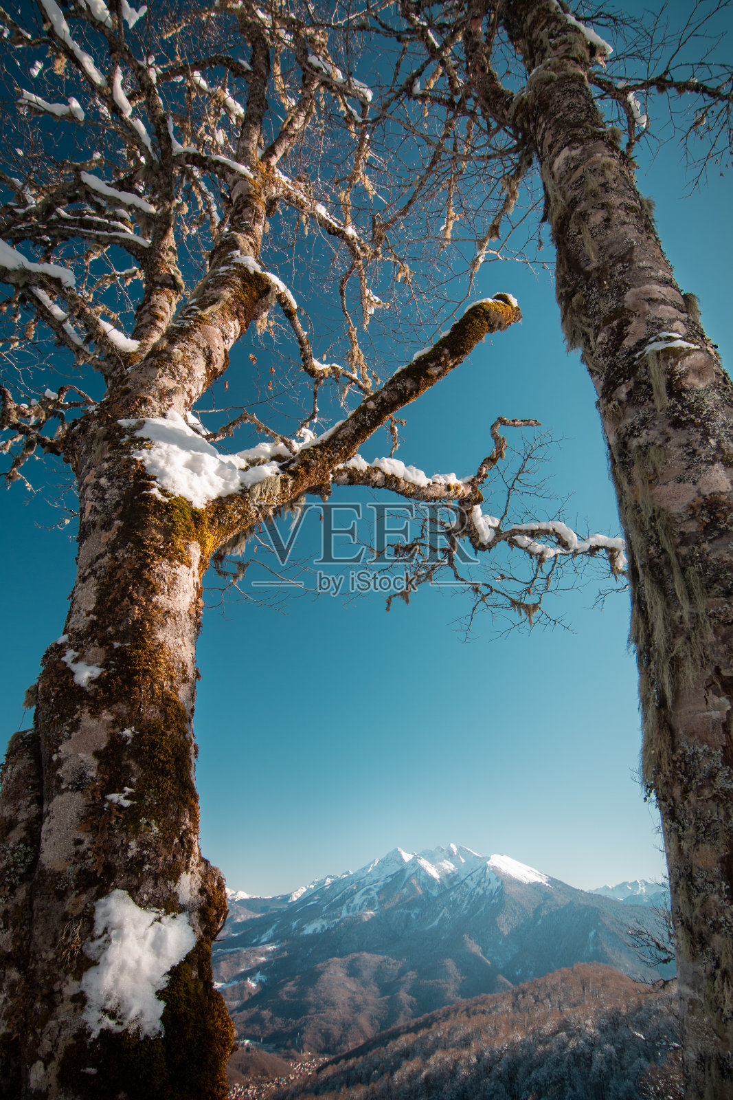 雪山映衬着冬天的蓝天照片摄影图片