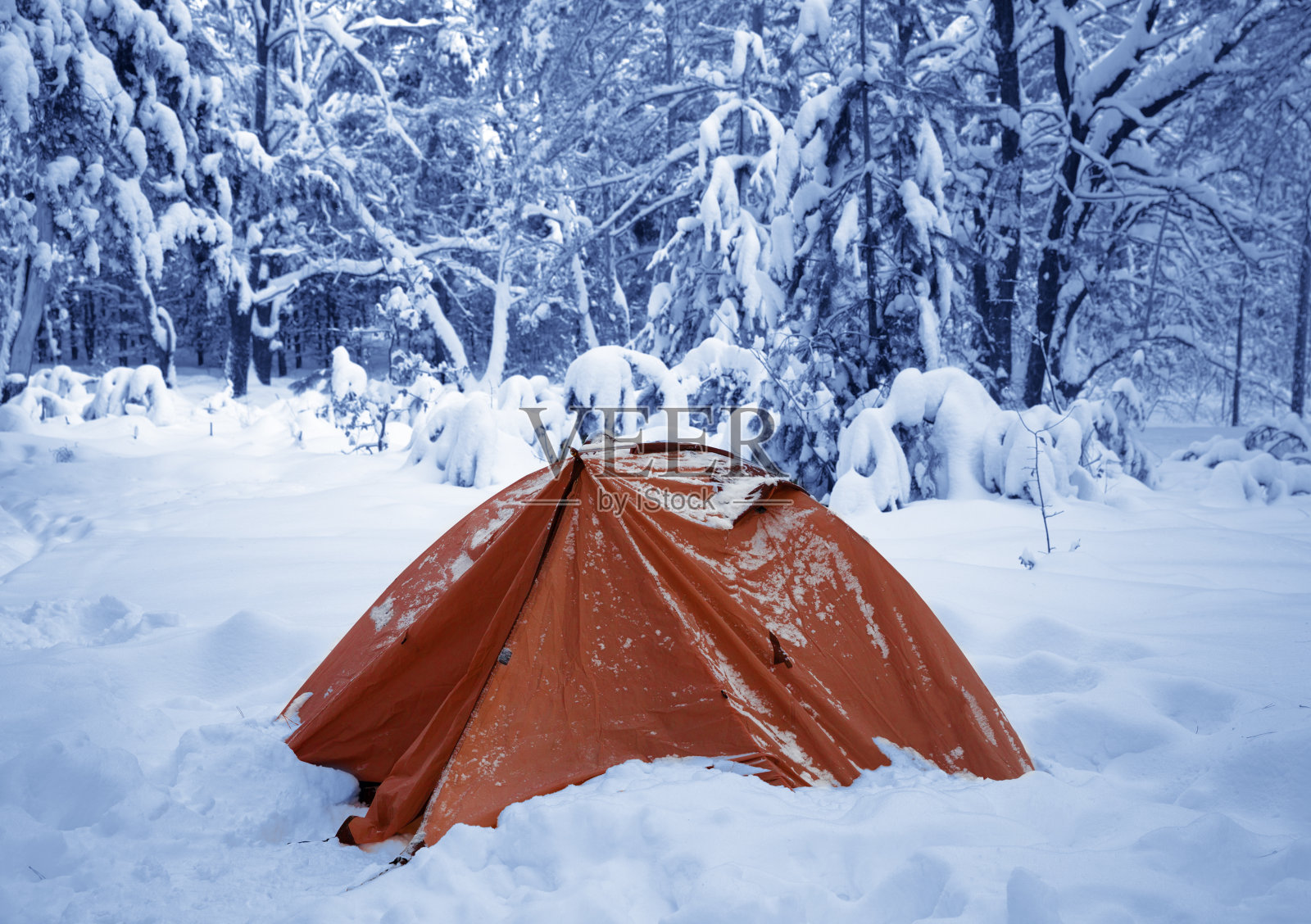 雪后在雪地里的森林里露营帐篷照片摄影图片