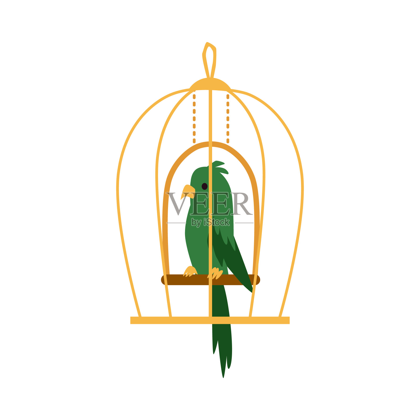 绿色奇异的鹦鹉鸟在笼子图标平面卡通矢量插图孤立。插画图片素材