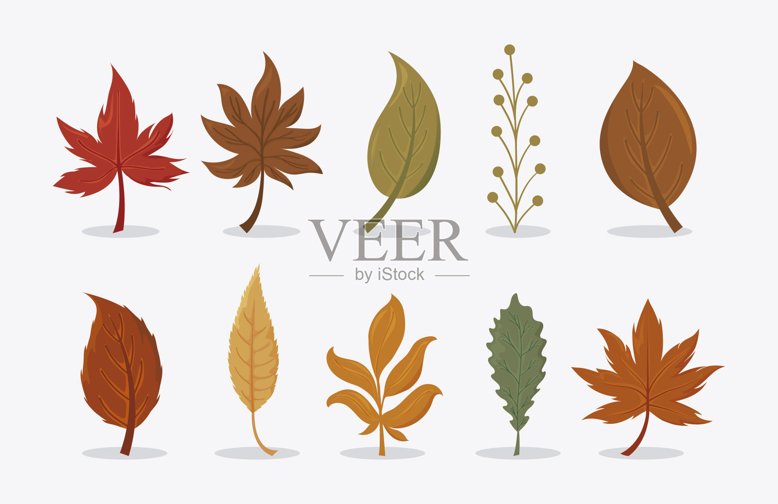 一套美丽和多彩的秋天的叶子在白色的背景设计元素图片