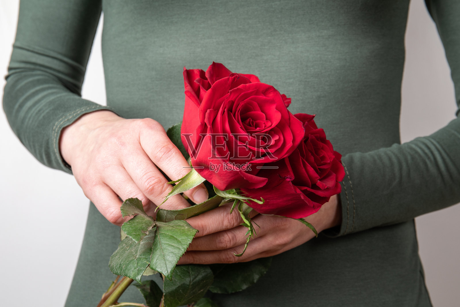 女人的手捧着红玫瑰。情人节，生日，庆祝和问候照片摄影图片