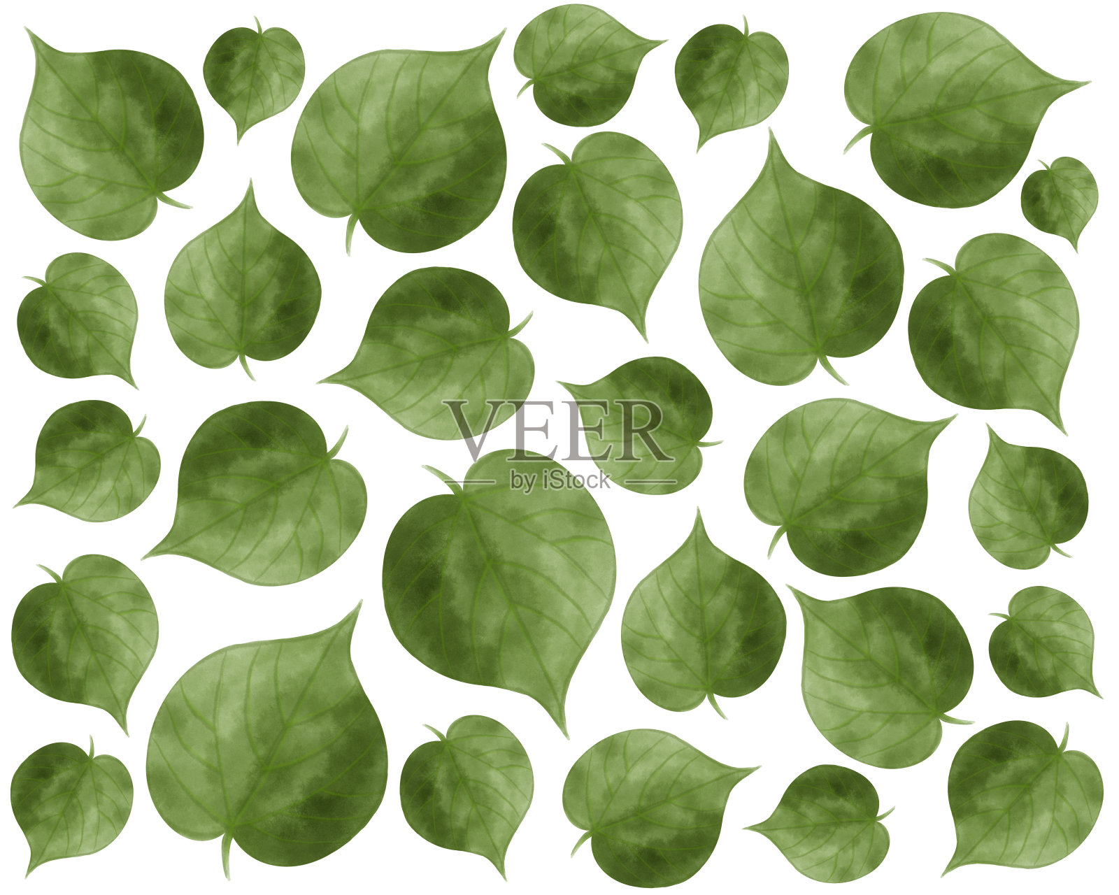 水彩图案与菩提树叶，无缝的天然绿色背景。插画图片素材