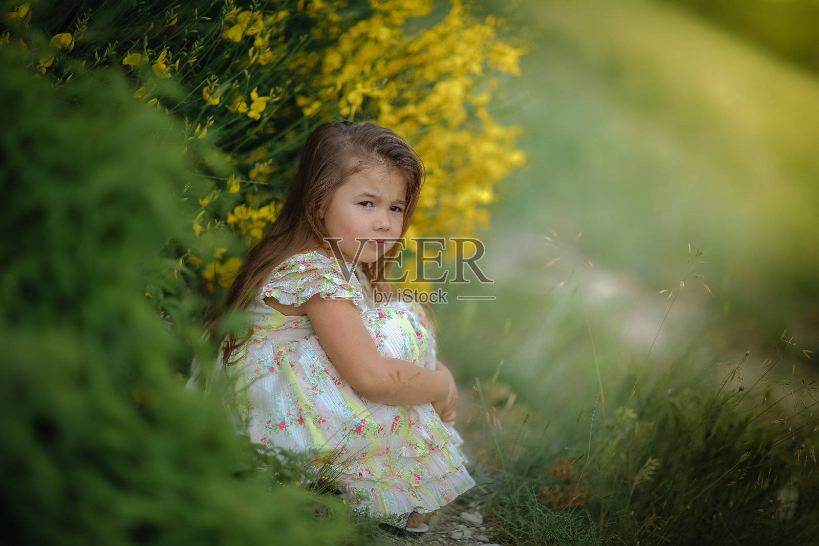 穿着裙子的小女孩在草地上照片摄影图片