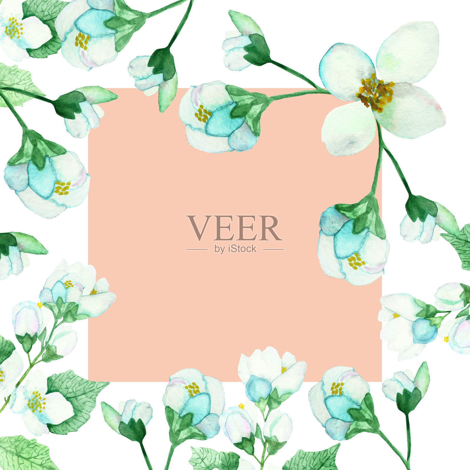 水彩手绘自然花卉框架与白色的花茉莉花，绿色的叶子，在白色的背景与粉红色的方形边界和问候卡与文字的空间插画图片素材