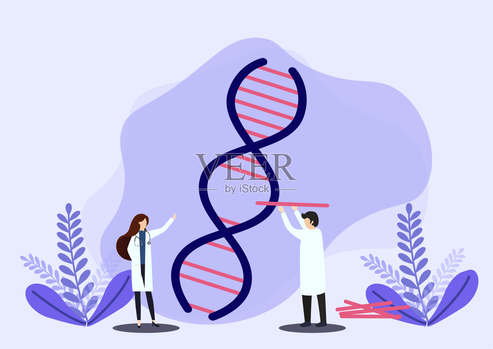 研究DNA概念的医生。插画图片素材